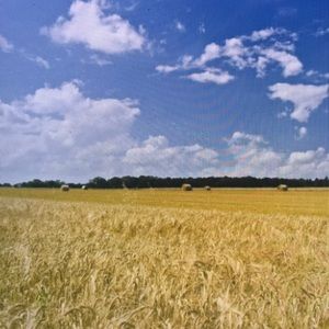 Meet your Posher, Bryant